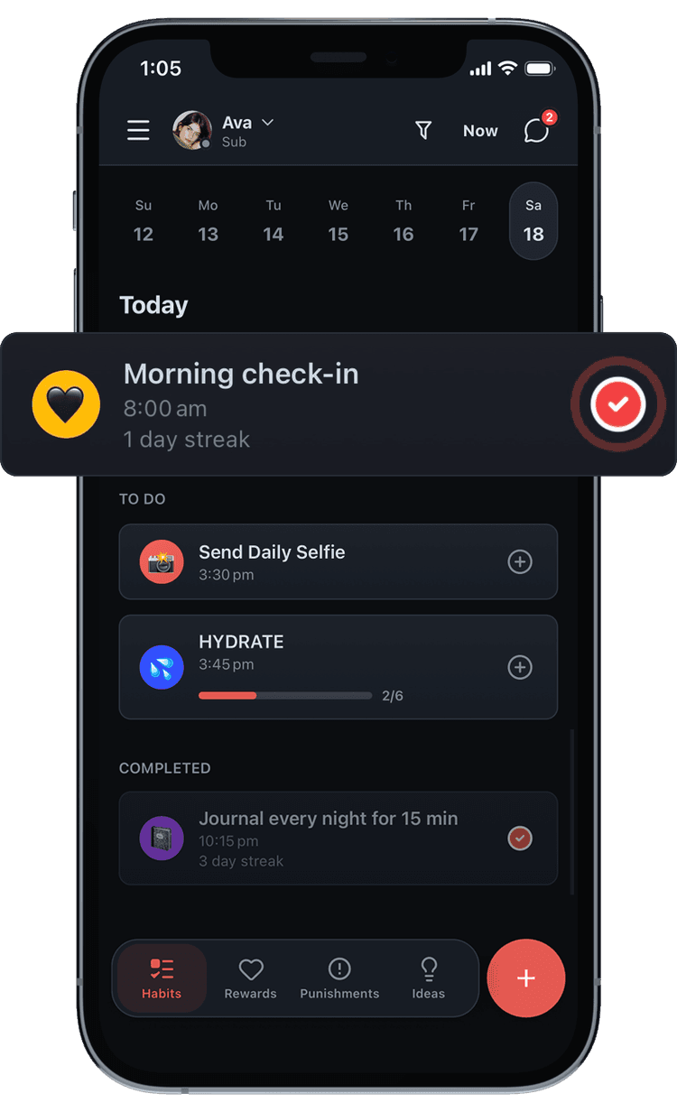 Collared BDSM habit tracker showing a sub's daily habits and tasks